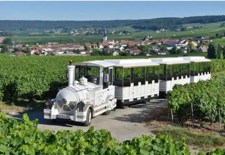 La Petillante Epernay N4 Buitenkant foto